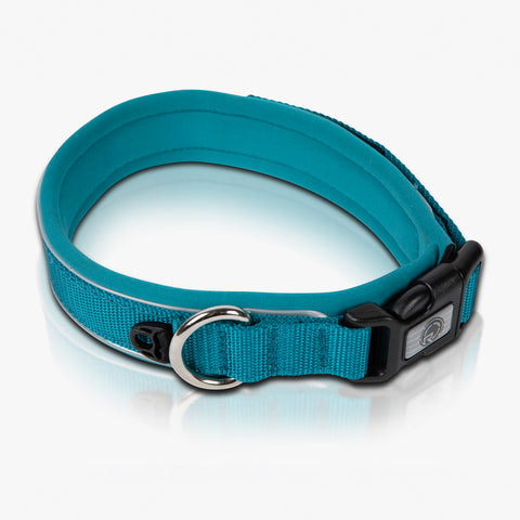 Dog Collar