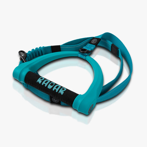 Dog Leash