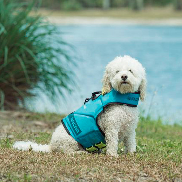 Dog Life Vest