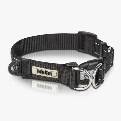Dog Collar